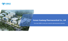Company Brochure