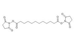 Huateng - Model 100397 - Disuccinimidyl Dodecanoate Biotinylation Reagents