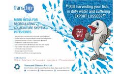MBBR Media for Recirculating Aquaculture System in Fisheries - Brochure