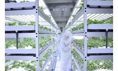 Solidlite - Whole Plant Output Factory