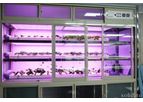 Solidlite - Plant Growth Box