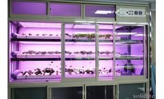 Solidlite - Plant Growth Box