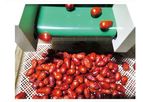 Taiho - Model 6GFDCS-6 - Multiple and Intelligent Dried Fruit Sorting System