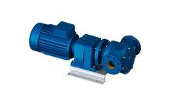 North Ridge - Model FIG180C - Close Coupled Internal Gear Pump with In-Line Flange Connections