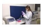 Fast MDx increases throughput in molecular diagnostic tests with Festo - Video