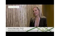 Aurora & Northern Lights Testimonial: Anna Brooks Video