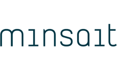 Minsait - ERP Consulting Service