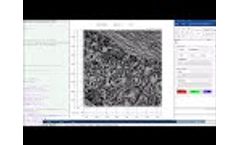 Matlab Control of Lumascope with Multichannel Live Video