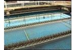 SedVac Sediment Dredge System - Video