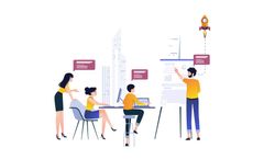 Knack - Roll-Out and Adoption Services