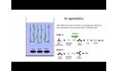 Clarifier beam deflection simulation - Video