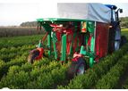 Globus - Model ASTM01 - Automatic Stitch / Pruning Machine