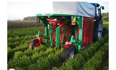 Globus - Model ASTM01 - Automatic Stitch / Pruning Machine