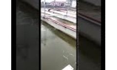 Dereike side channel air blower application aquaculture fish pond aeration - Video