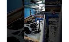 Dereike Side Channel Blower Application - Waste Water Treatment Aeration- Video