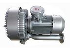 Dereike - Model DHB 920C 18D5-DA(S) 18.5KW - Explosion-Proof Blower