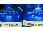 Stonehenge - Methyl Bromide