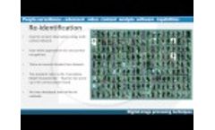 Viseum Intelligent Video Analytics Software Video