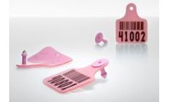 Rain Rfid Cattle Ear Tag for Animal ID