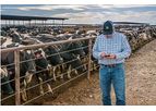 Version DHI-Provo - Dairy Records Processing Software