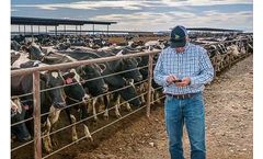 Version DHI-Provo - Dairy Records Processing Software