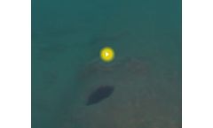 Underwater Drones for Water Cycle