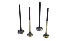 Topu - Model 09 Fit - A T07010015 T07010016 - Engine Valves