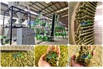 industrial high efficiency biomass straw grass alfalfa crusher with ce certification
