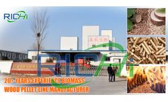 best price wood pellet mill plant