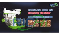 Misunderstandings in buying electrical wood efb pellet maker