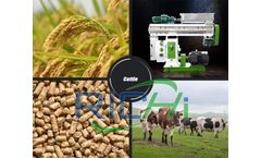  Full cattle feed pellet device offer for sale