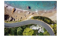 Radicle - Carbon Market Advisory Services