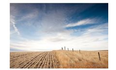 Radicle - Carbon Credit Conservation Cropping  Services