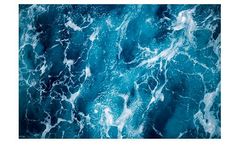 Radicle - Carbon Market Financial Services