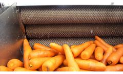 Taizy - Model washer - Stainless steel brush carrot cleaning machine