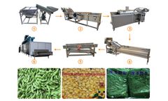 TZ - Model peas - Frozen peas processing machine