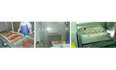 TZ - Model freezer - Spiral belt freezer