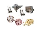 TZ - Model garlic - Commercial garlic peeling production line