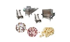 TZ - Model garlic - Commercial garlic peeling production line