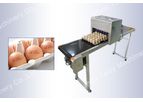 Taizy - Model egg - Egg inkjet coding machine