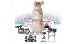 TSE - Stellar Telemetry  Wireless Monitoring Systems