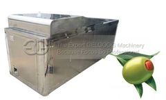Gelgoog - Model GG190 - Olive Pitting Machine