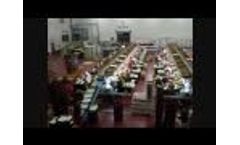 Fruits & Vegetables Processing Line Video