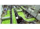 Inokat - Processing Machines for Vegetables (Whole - Cut)