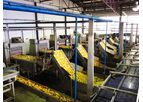 Inokat - Processing Machines for Peach - Apricot - Cherry