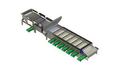 MSL - Model CELOX C-UHD - Carrots Grading Machine