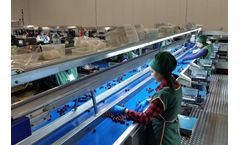 Novatec - Belt Inspection Table