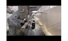 Bulltec - Electronic courgette calibration line Video
