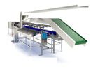 Bulltec Calibra - Model V - Electronic Sorting Machines for Vegetables