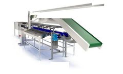 Bulltec Calibra - Model V - Electronic Sorting Machines for Vegetables